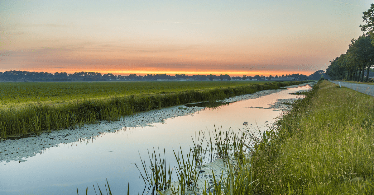 landschap milieu